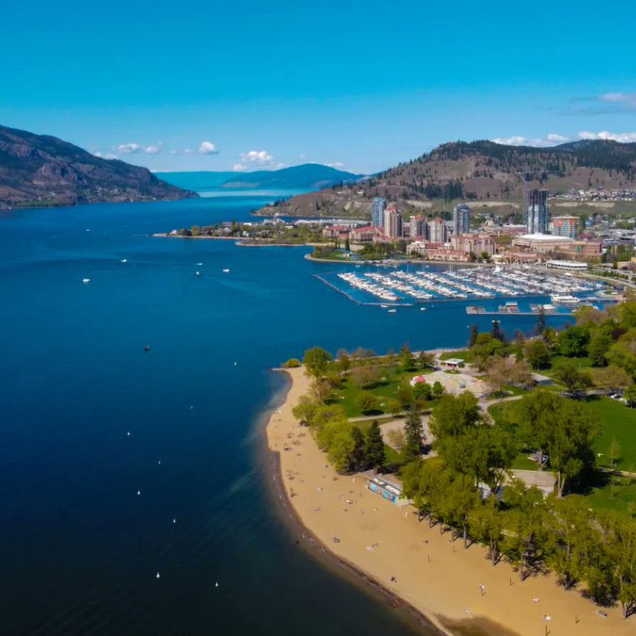 kelownatosurreymovers untitled design (31)